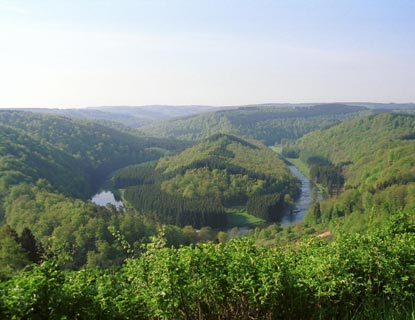 The Ardennes