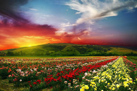 Breathtaking vistas of the beautiful Rose valley near Kazanlak