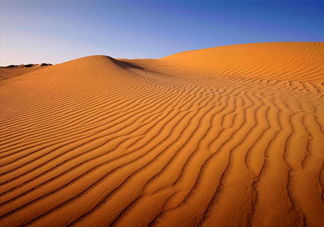Kuwaiti desert