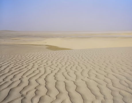 Desert landscape in Qatar
