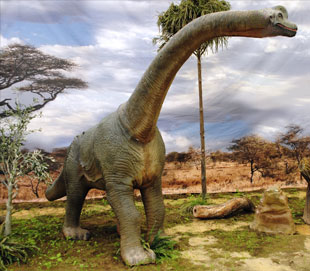 Brachiosaurus