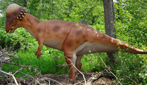 Pachycephalosaurus