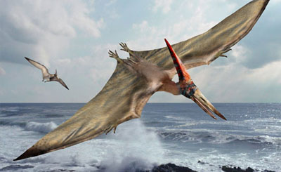 Pterodactyl