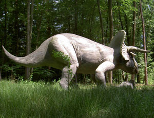 Triceratops