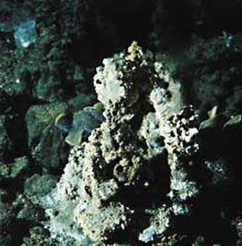 A metal ore deposit found on the seafloor 1,288 m (4,225 ft) deep at the Myojin Knoll, in one of Izu-Ogasawara submarine volcanoes