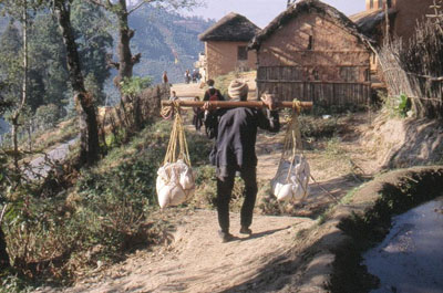 A Nepalese village