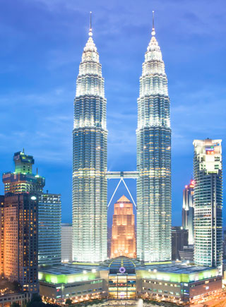 The Petronas Tower