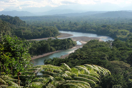 Tena Region in the Upper Amazon Basin of Ecuador