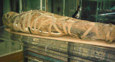 An Egyptian mummy